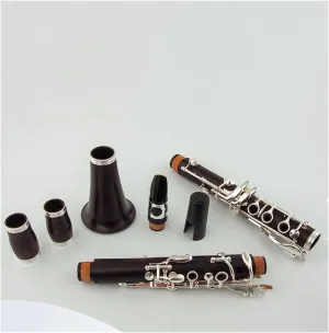 Clarinet Instruments Ebony Clarinet Instrument 17 Keys B Flat Adult Campus Band Beginner Exam Performance