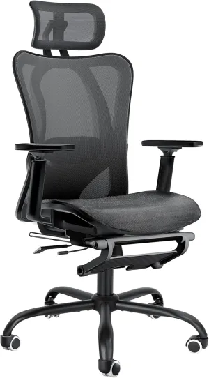 Ergonomic Office Chair, Adjustable Lumbar Support, 3D Headrest, Flip-Up Armrests, Retractable Footrest, High-Back Mesh Design, Comfortable Desk Chair for Home and Office, Black