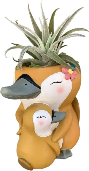 GFF Grass Flip Flops Animals Planters Platypus Mama 5 Inch Plant Pots for Succulents Flowers Herbs Houseplants - Indoor Outdoor Live Plants Stand Garden Home Office Kitchen Decorb