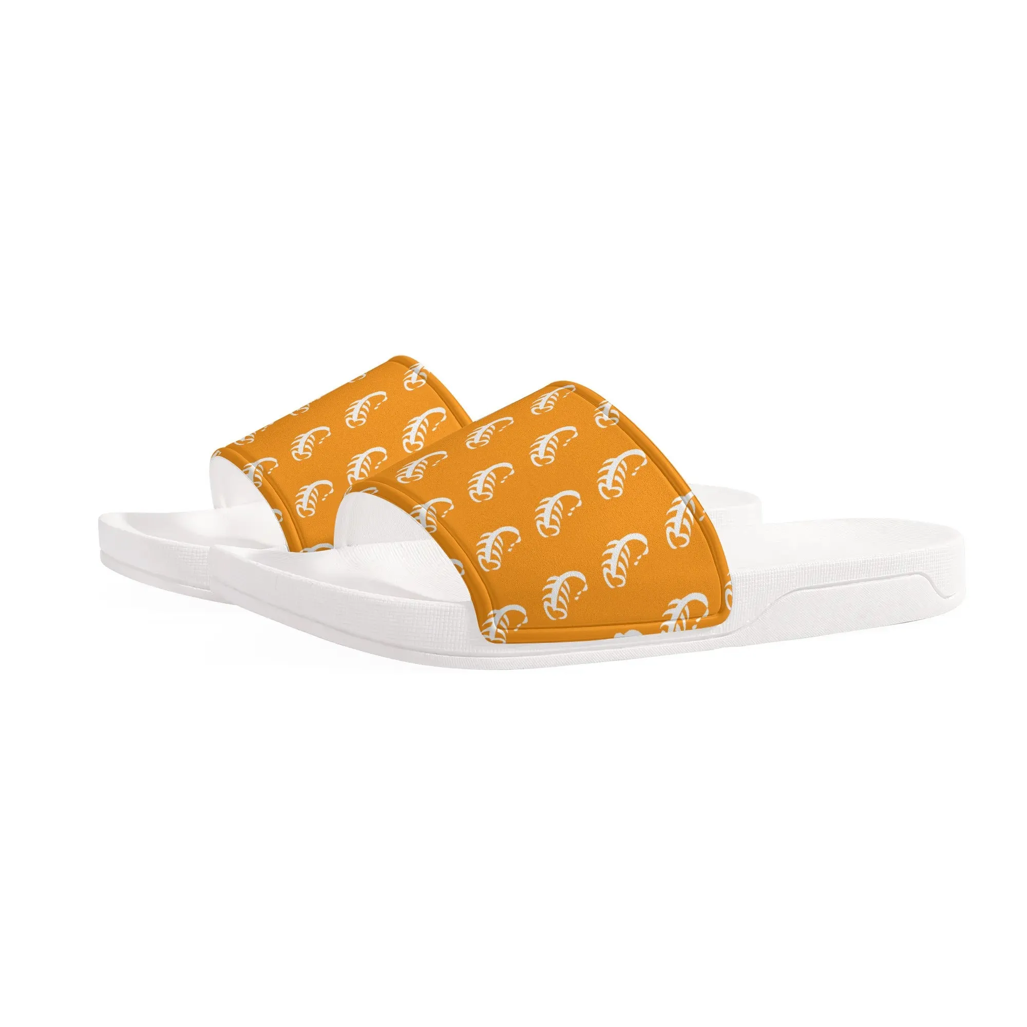Men's Step and Repeat Scorpio Slide Sandals