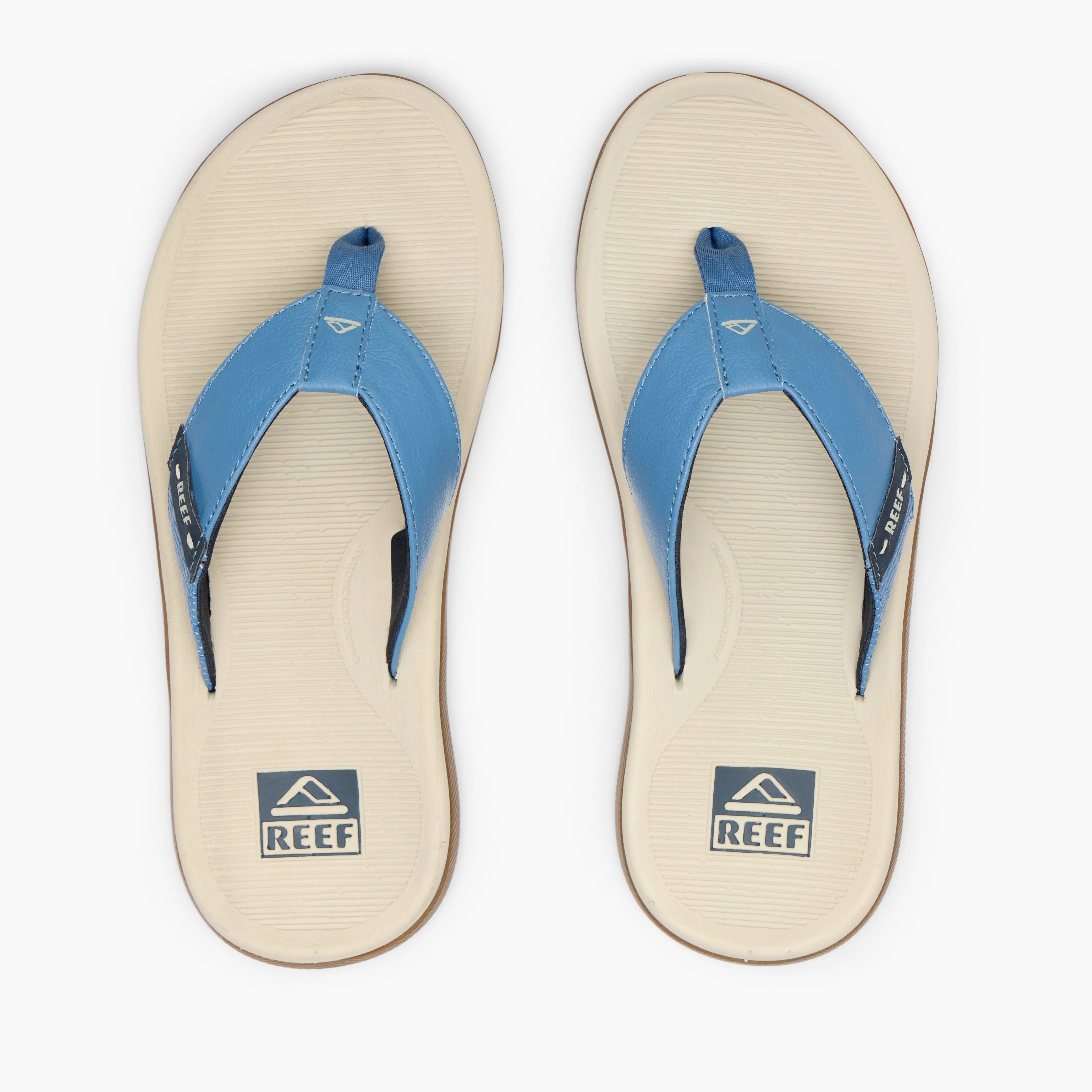 Reef Santa Ana - Oat/Blue/Gum