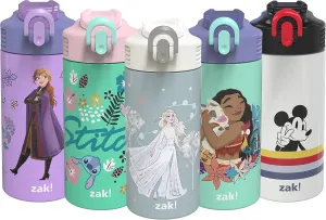 Zak Designs Disney Frozen 2 Elsa - Stainless Steel Vacuum Insulated Water Bottle - 14 oz - Durable & Leak Proof - Flip-Up Straw Spout & Built-In Carrying Loop - BPA Free